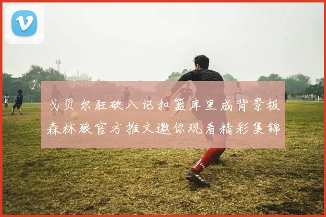 戈贝尔狂砍八记扣篮库里成背景板森林狼官方推文邀你观看精彩集锦