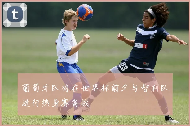 葡萄牙队将在世界杯前夕与智利队进行热身赛备战