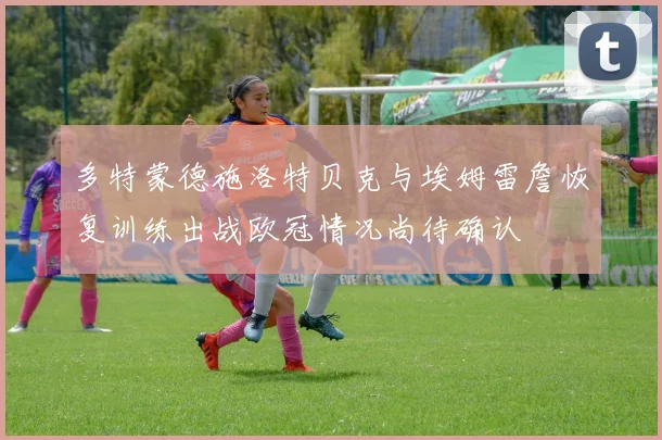 多特蒙德施洛特贝克与埃姆雷詹恢复训练出战欧冠情况尚待确认